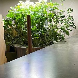 Meet your Posher, Jocelyn